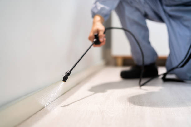 Rodent Entry Point Assessment in Osborne