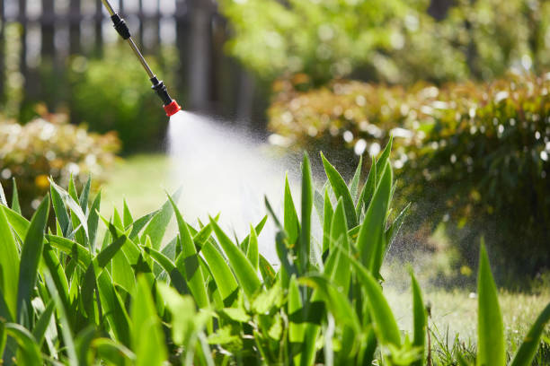 Tamper-Resistant Bait Stations for Rodents in Osborne