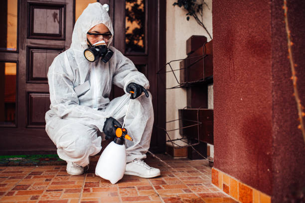 Attic and Crawl Space Rodent Treatment in Osborne