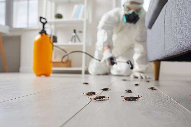 Commercial Rodent Management in Osborne